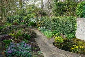 the garden and pond in April 2022