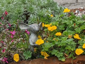 mouse ornament in the trough