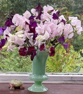 selection of sweetpeas in a bunch in a green glass vase