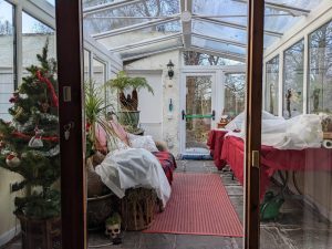 fleece over some plants in the conservatory