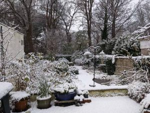 snowy view from the patio