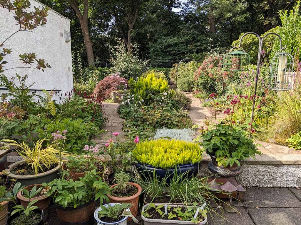 view of the garden from the patio