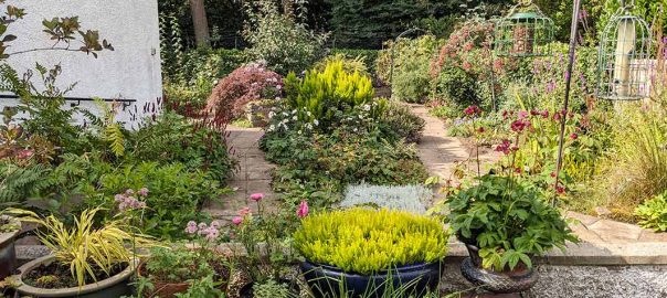 view of the garden from the patio