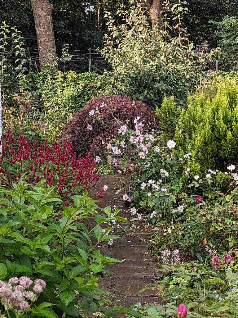 view of the left of the garden from the patio