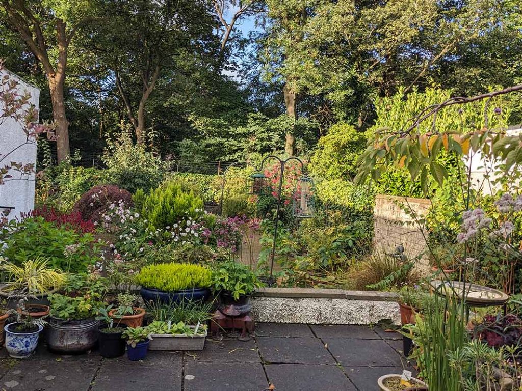 view of the garden from the patio.