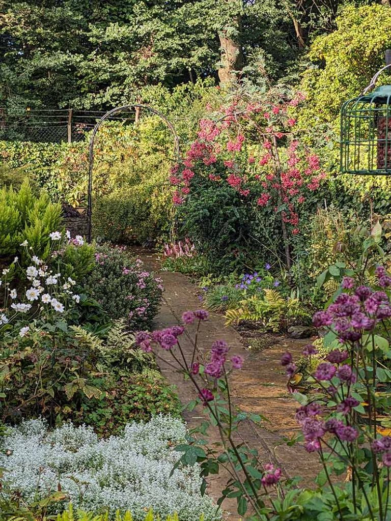 view of the right side of garden from the patio.