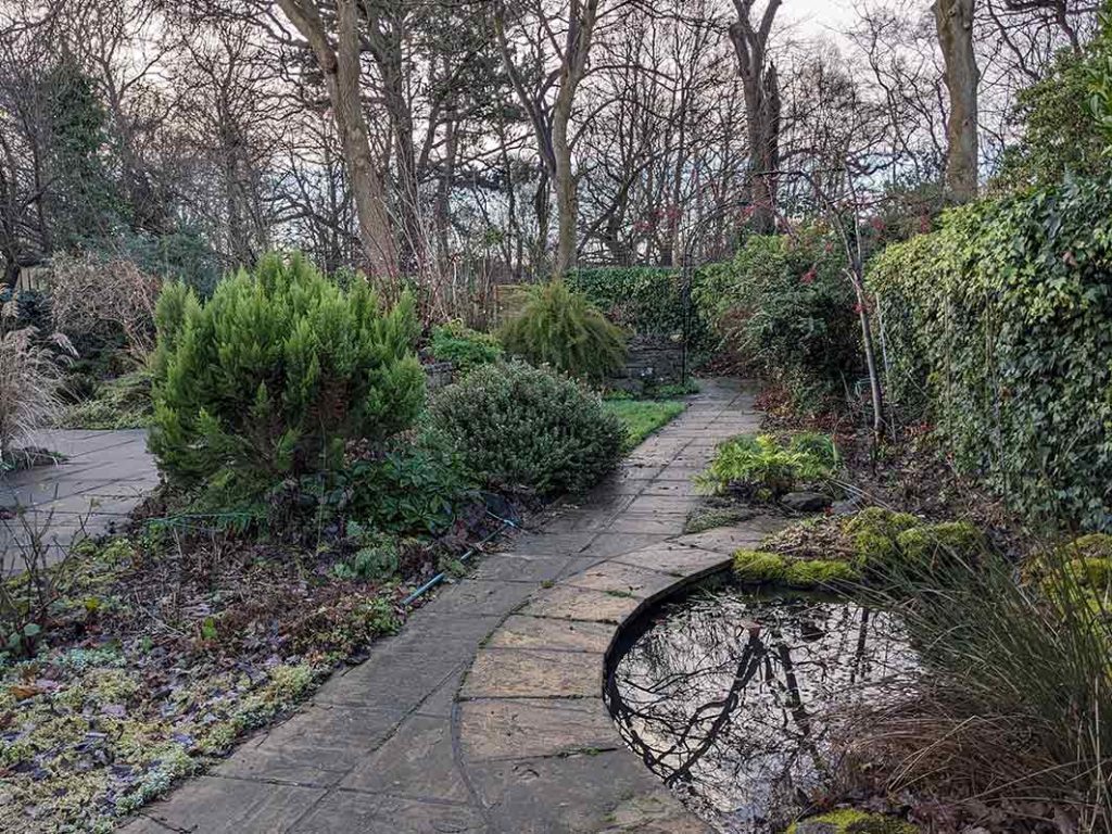 The garden in January 2024