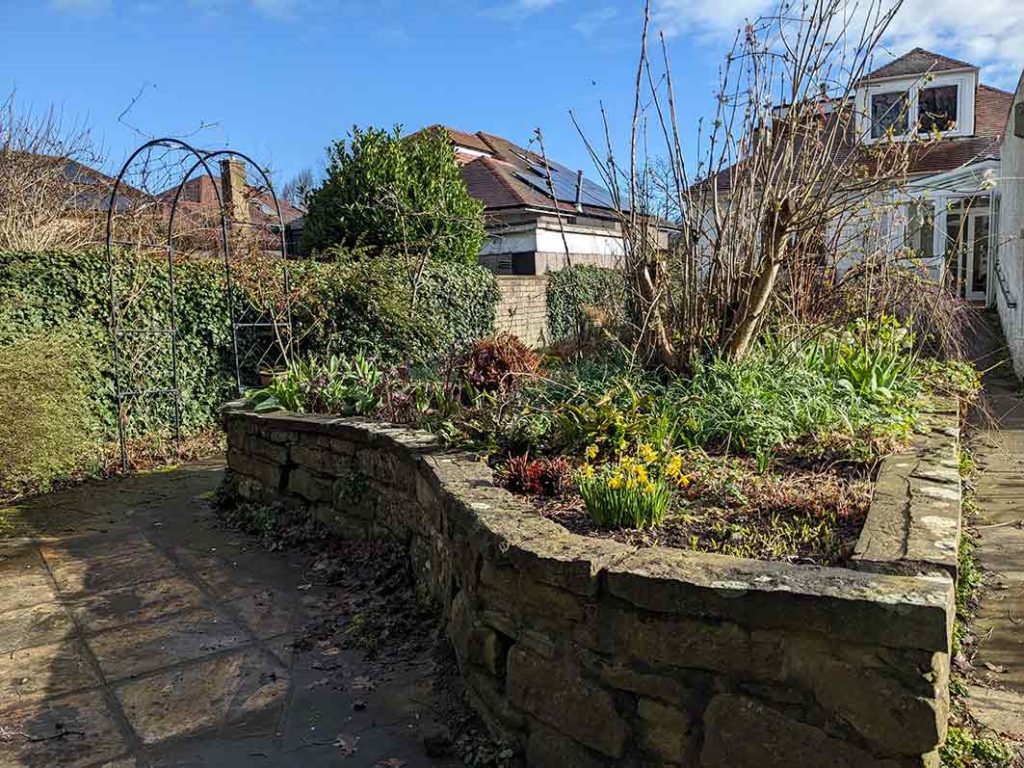 back view of raised bed