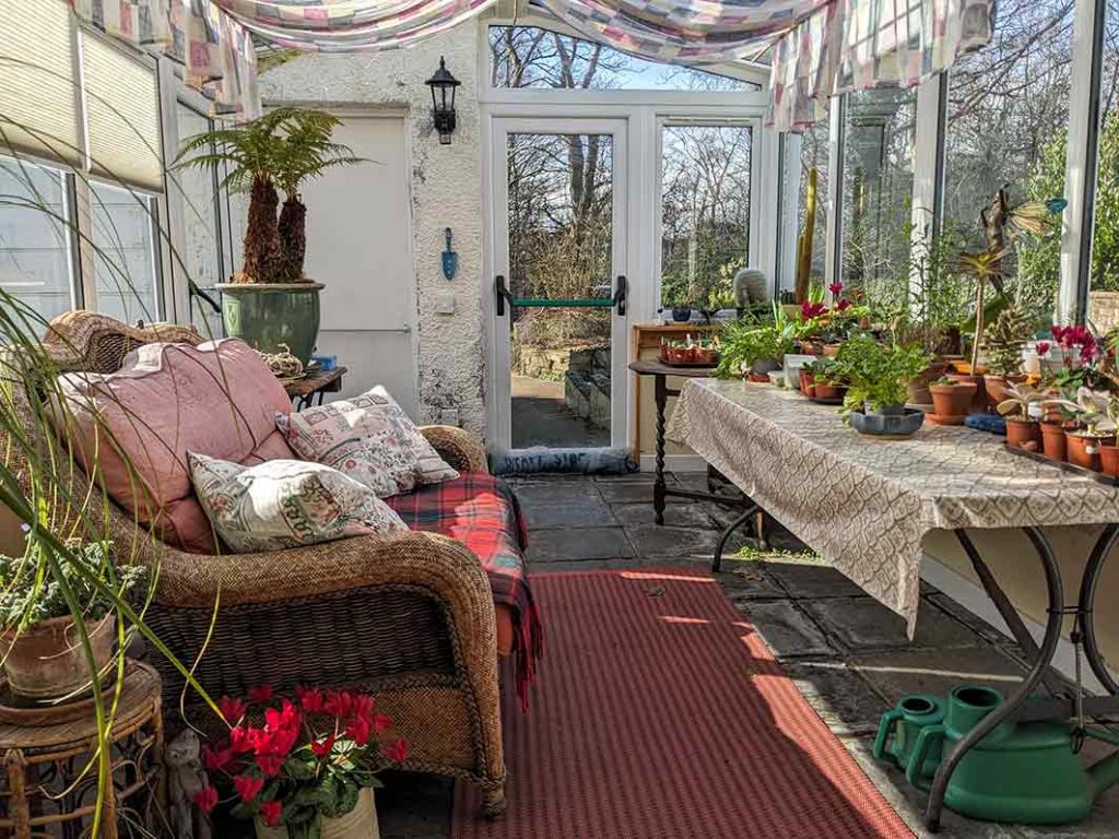 in the conservatory mid March trays of plants