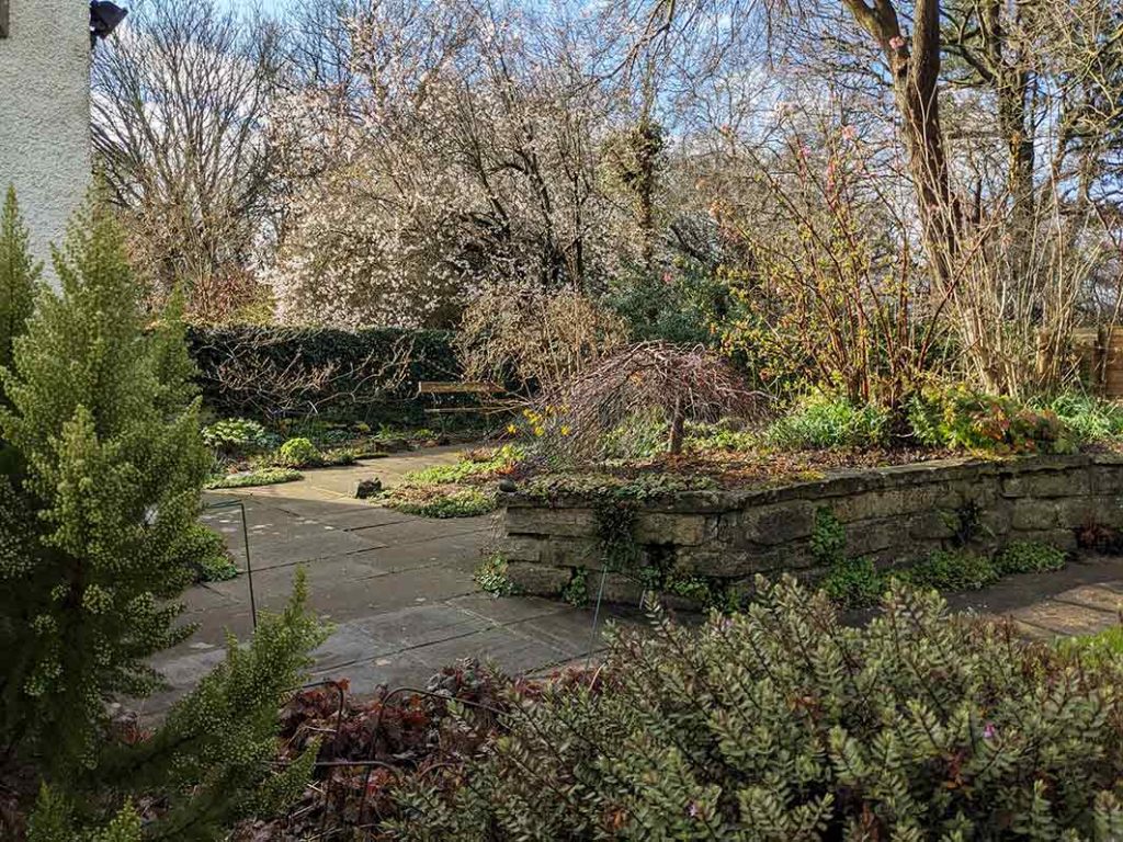 raised bed and stumpery