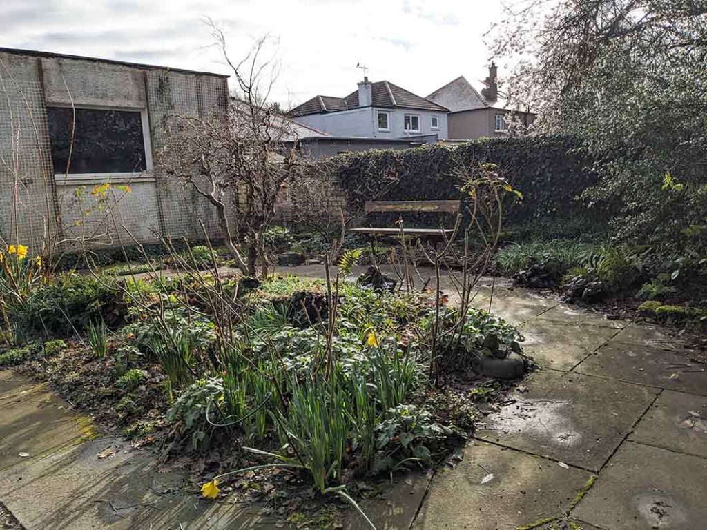 D shaped bed in the stumpery