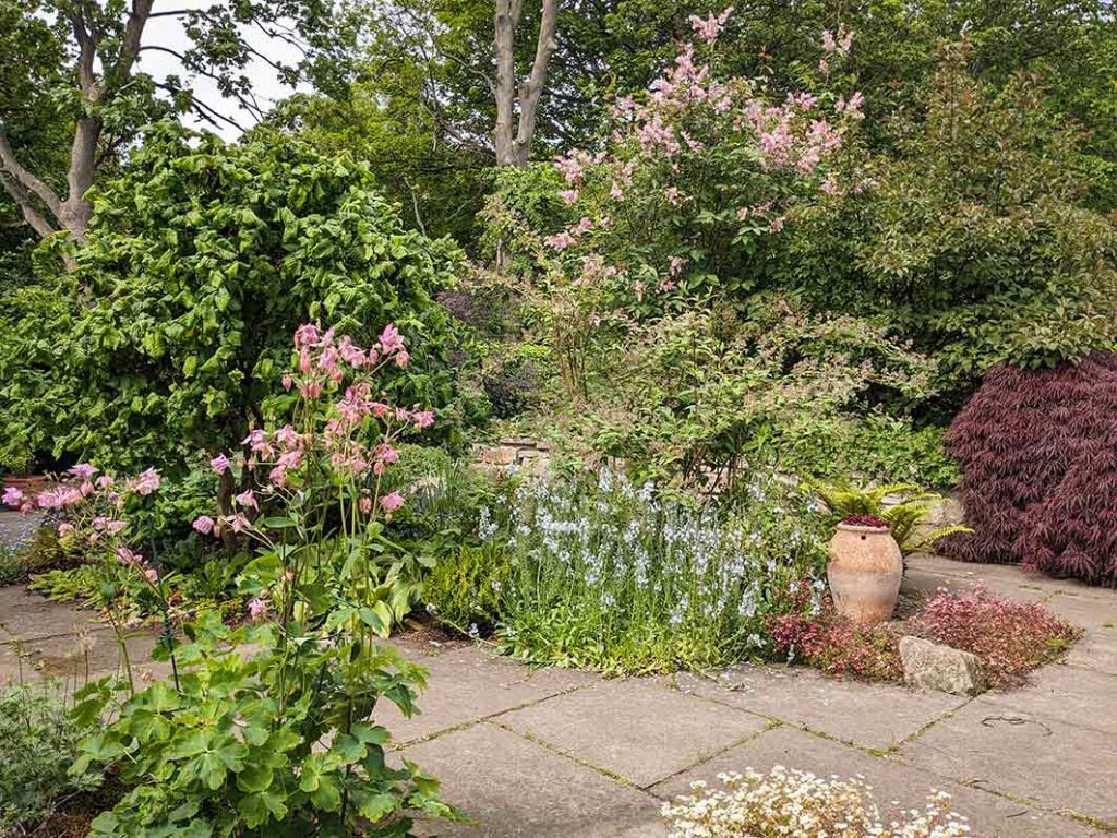 planting in the stumpery