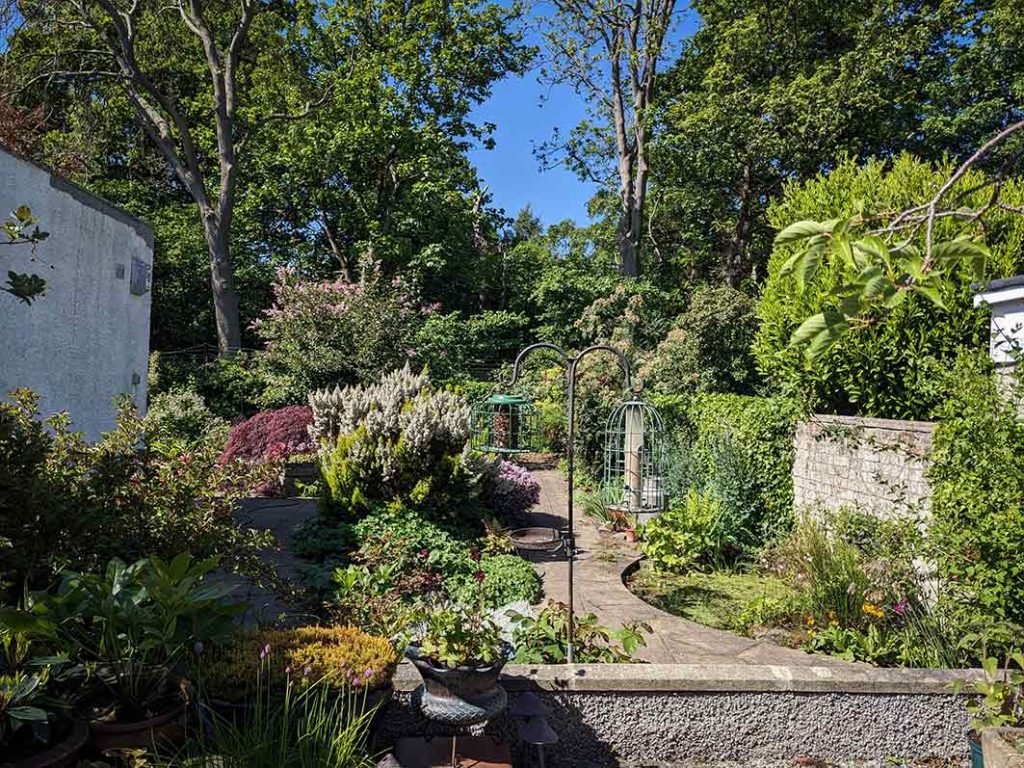 view of garden from patio