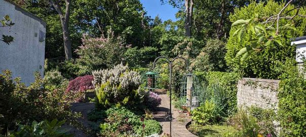 view of garden from patio