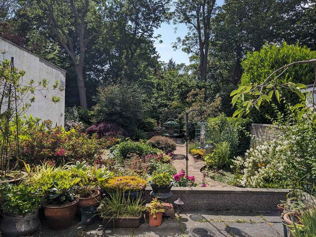 view of the garden from the patio with trees in the background.