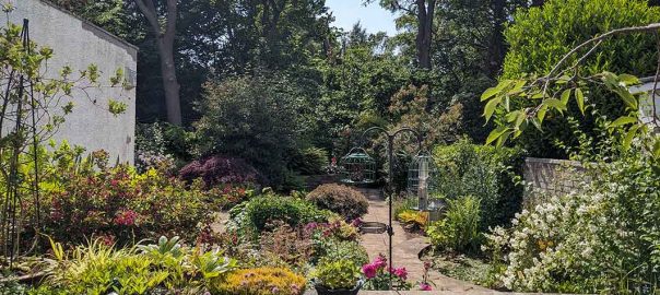 view of the garden from the patio with trees in the background.