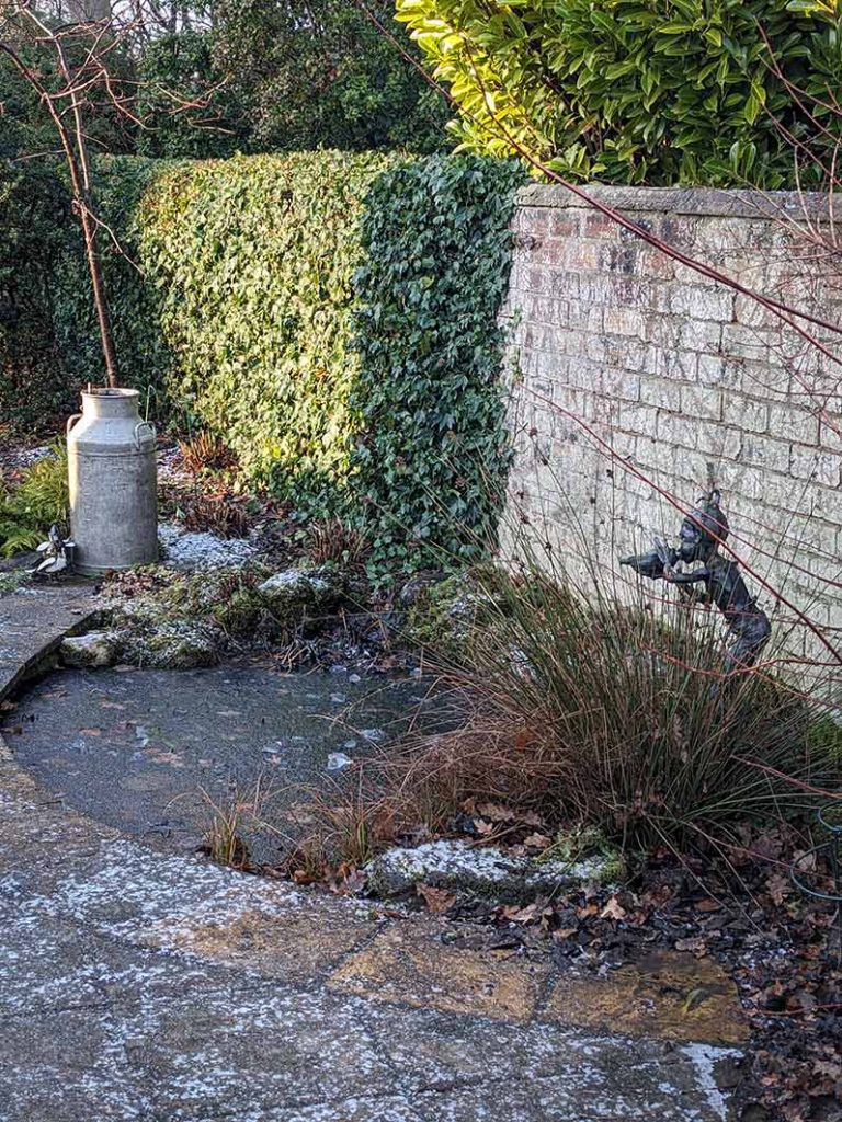 ice covering a small garden pond