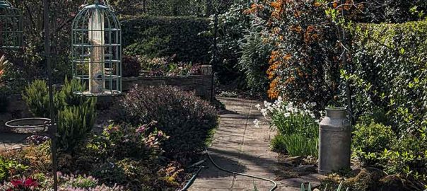 view of the garden from under a cherry tree.