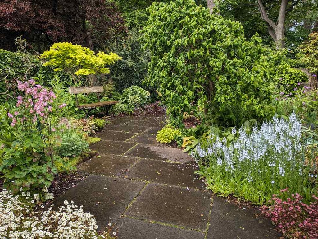 Path through a woodland garden.
