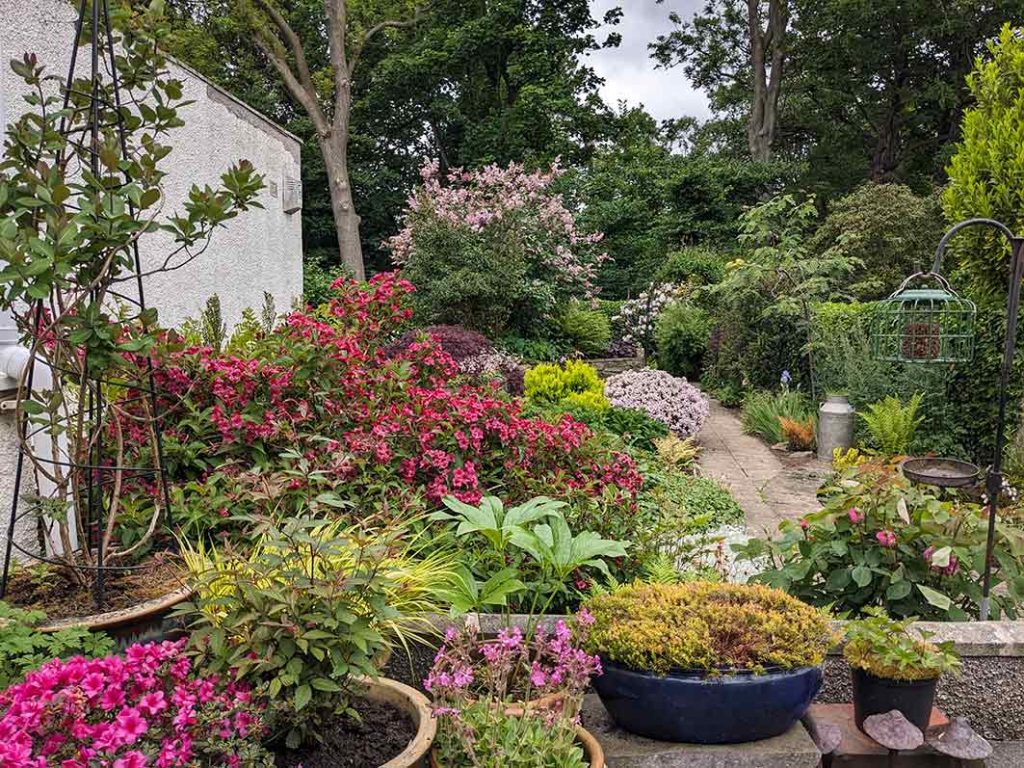 A colourful view of the back garden from the patio. Flowers and shrubs in bloom.