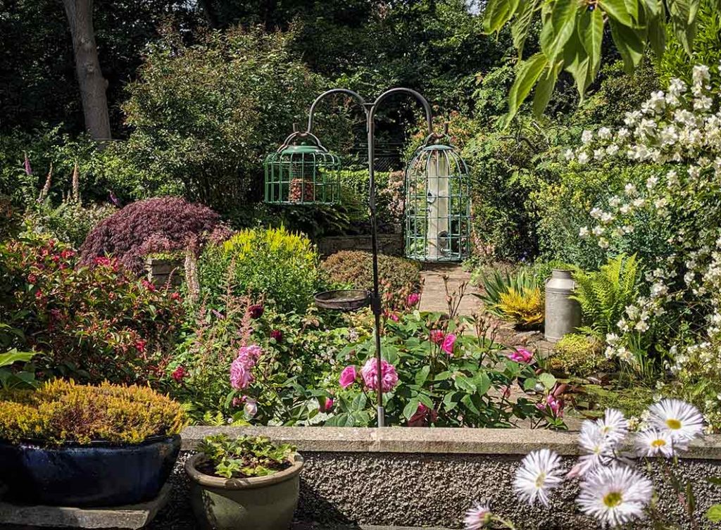 a view of a garden in mid June with colourful plants and bird feeders.