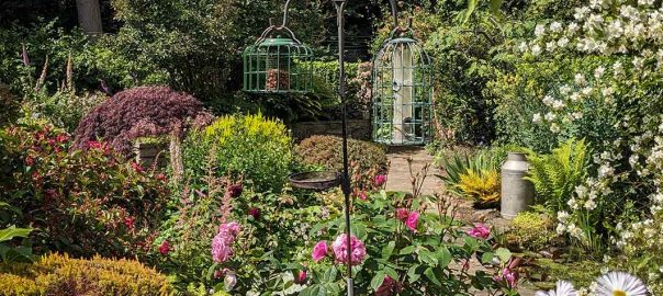 a view of a garden in mid June with colourful plants and bird feeders.