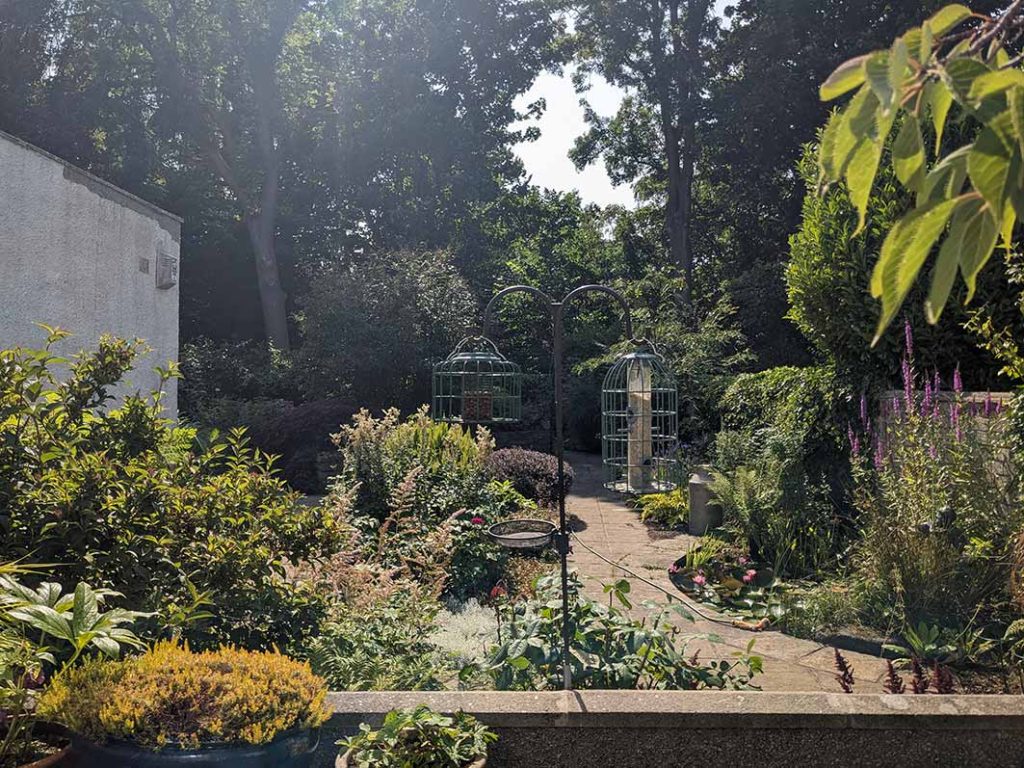 View of the garden in mid July 2026 from the patio showing shrubs, beds, pond and back ground trees. The corner of a garage to the left.