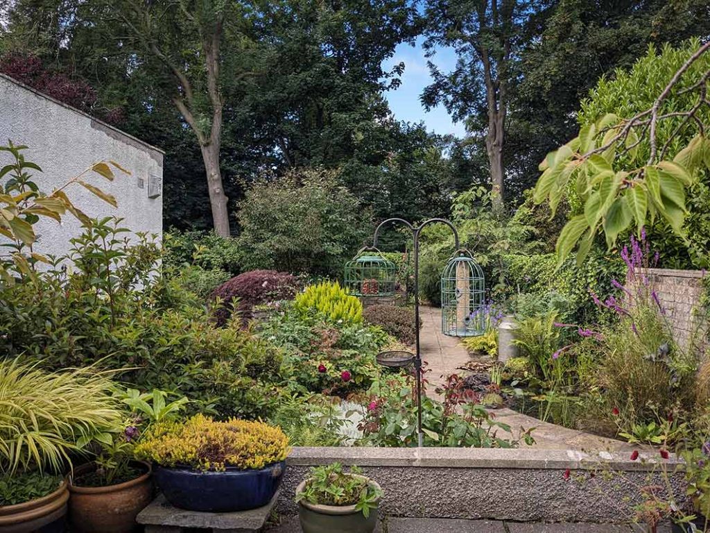 View of the garden with small pond from the patio.