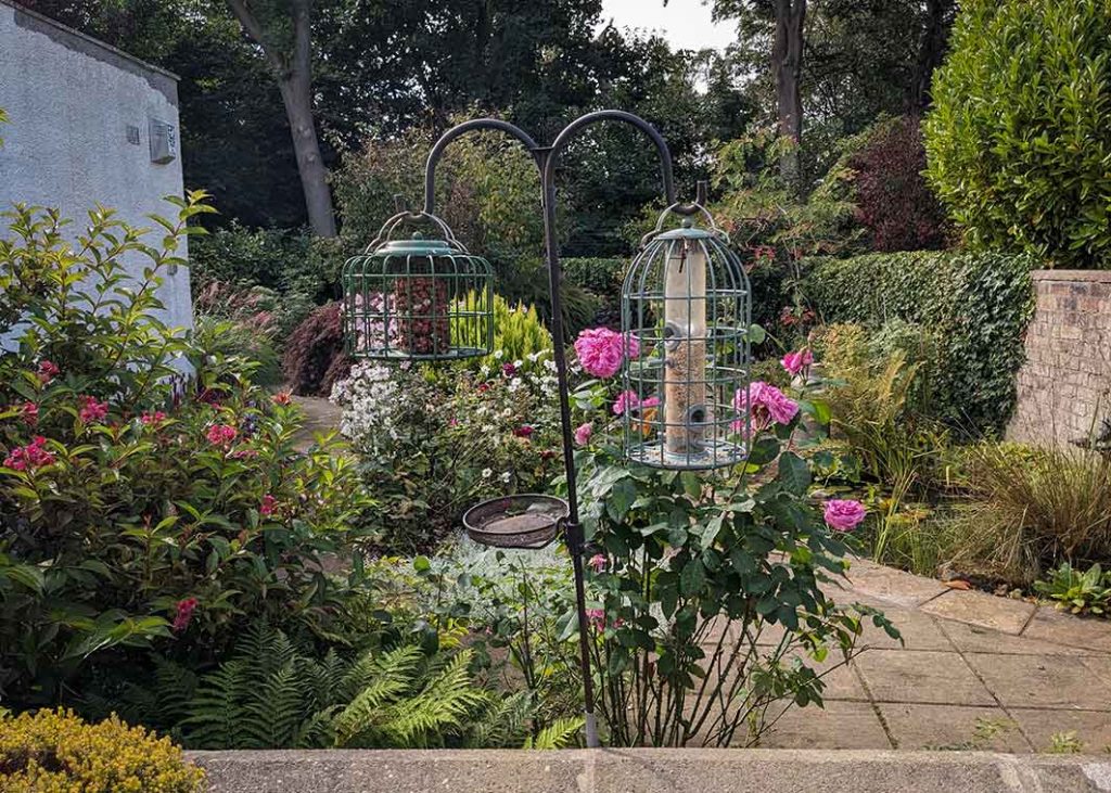view of a garden from the patio at the end of September beginning of October 2026.
